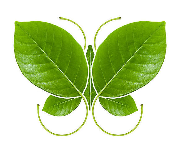 Website Image Change Management (2).jpg