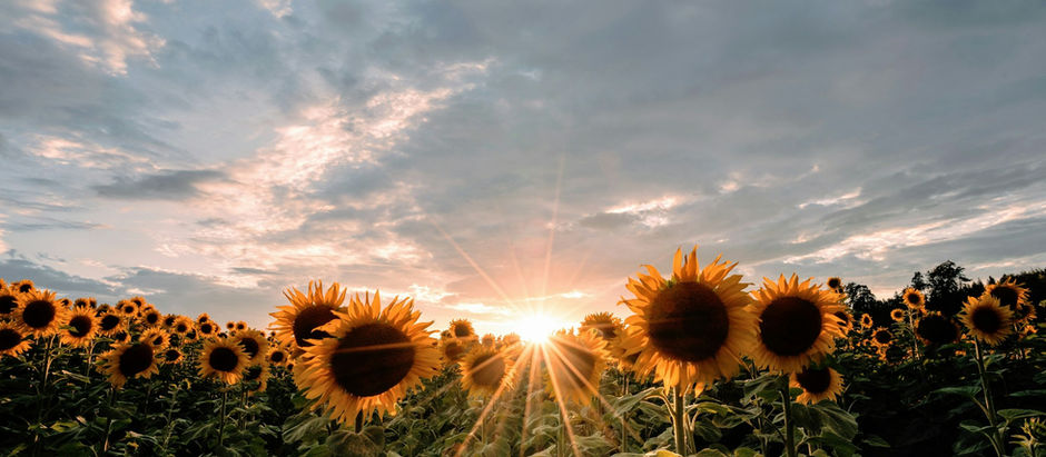 PARISH NEWS - 30 July 2025