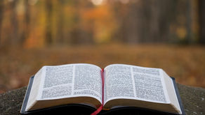 PARISH NEWS - May 7 2026