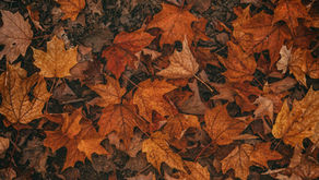 PARISH NEWS - 8 October 2025