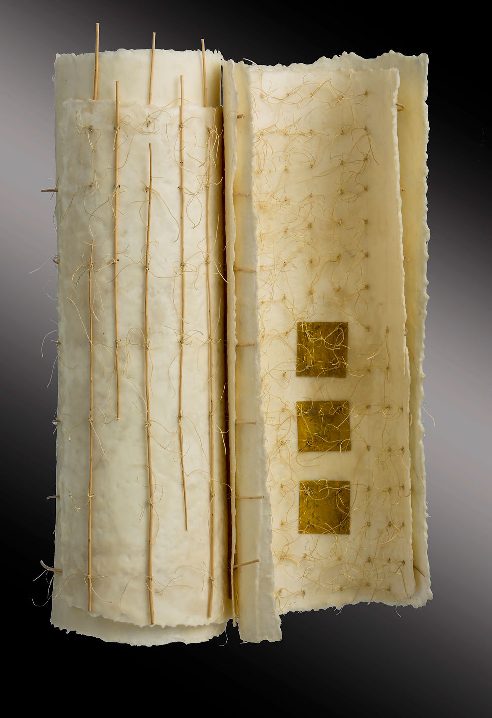 Echo II 28 x 18 x 8" Encaustic over Handmade Paper, Mixed Media by Ilse Bolle