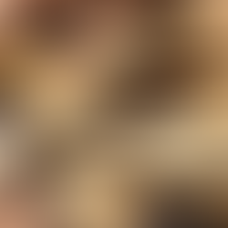 Maximize Wealth: Customized Insurance Solutions