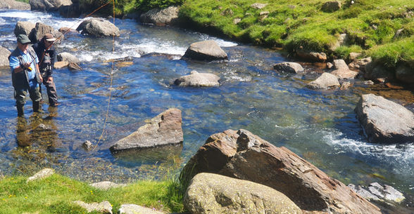 Pêche à la mouche torrent de montagne