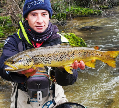 Truite de l'Ariège