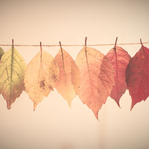 Der schleichende Kulturwandel – wie narzisstische Dynamiken das ganze Unternehmen prägen