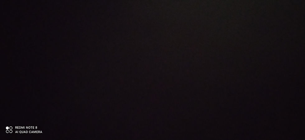 IMG_20210421_134102.jpg