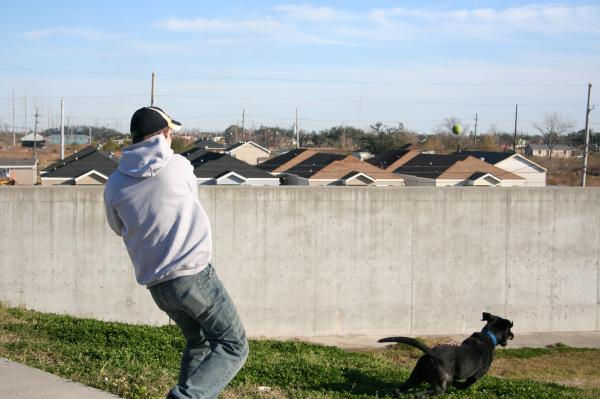 l_8e4179c9a5df43af887891d75526614a Max vs. Tennis Ball.jpg