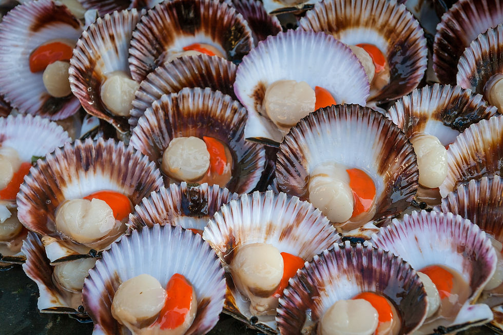 Thumbnail: Rye Bay Scallop in Shell