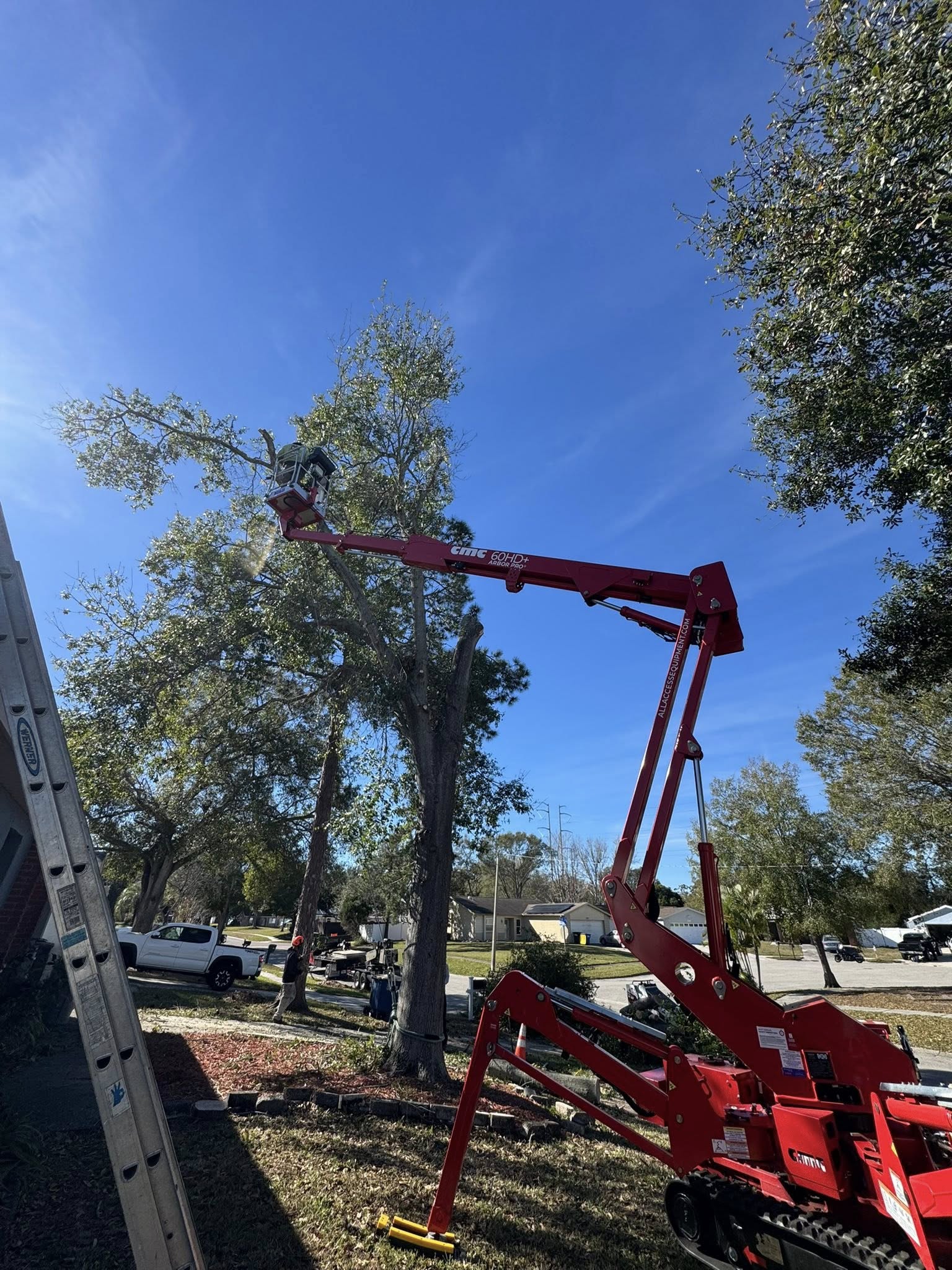Cutting High Up.jpg