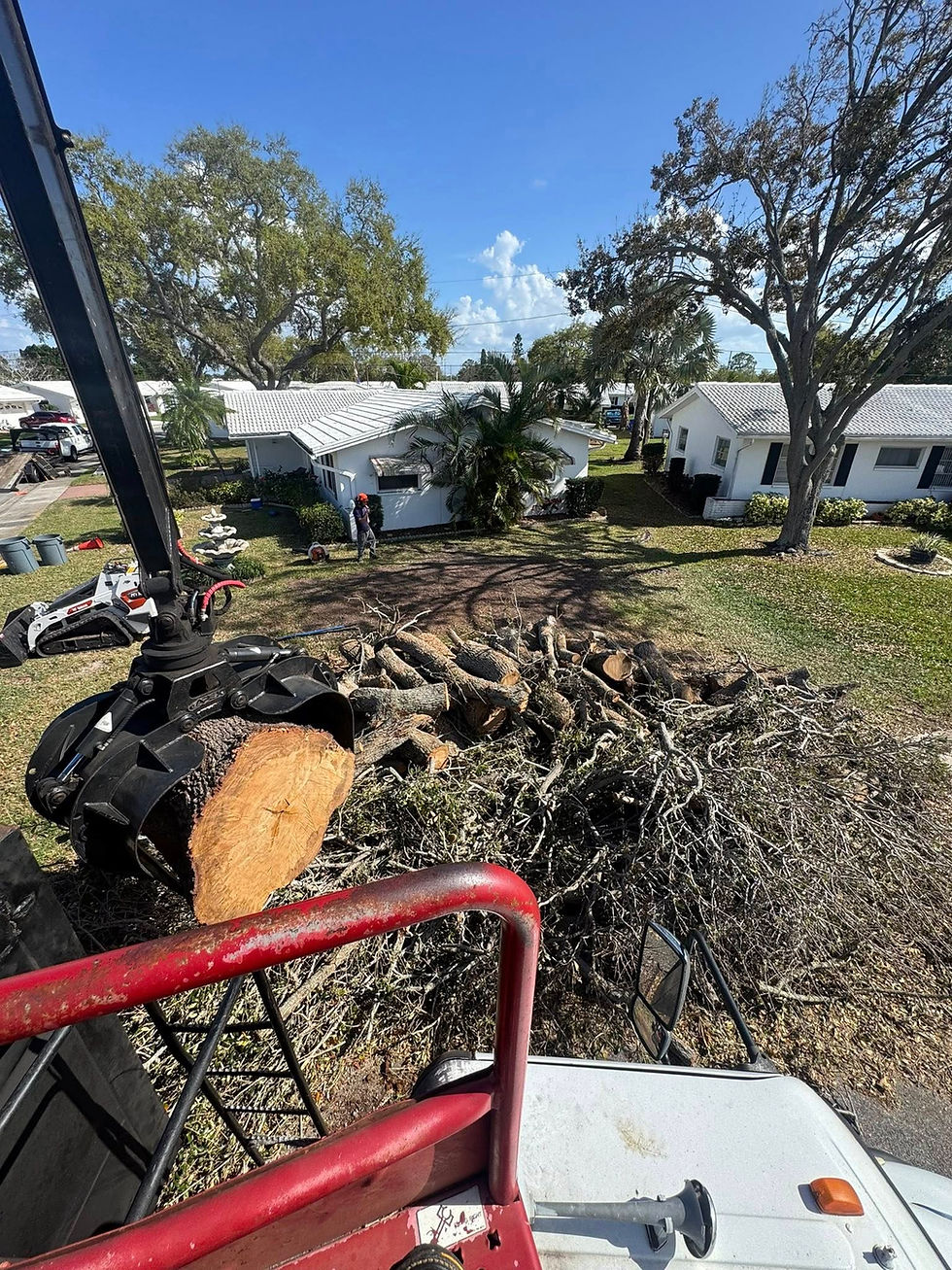 Moving Debris.jpg