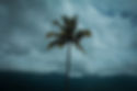 Florida Hurricane.jfif