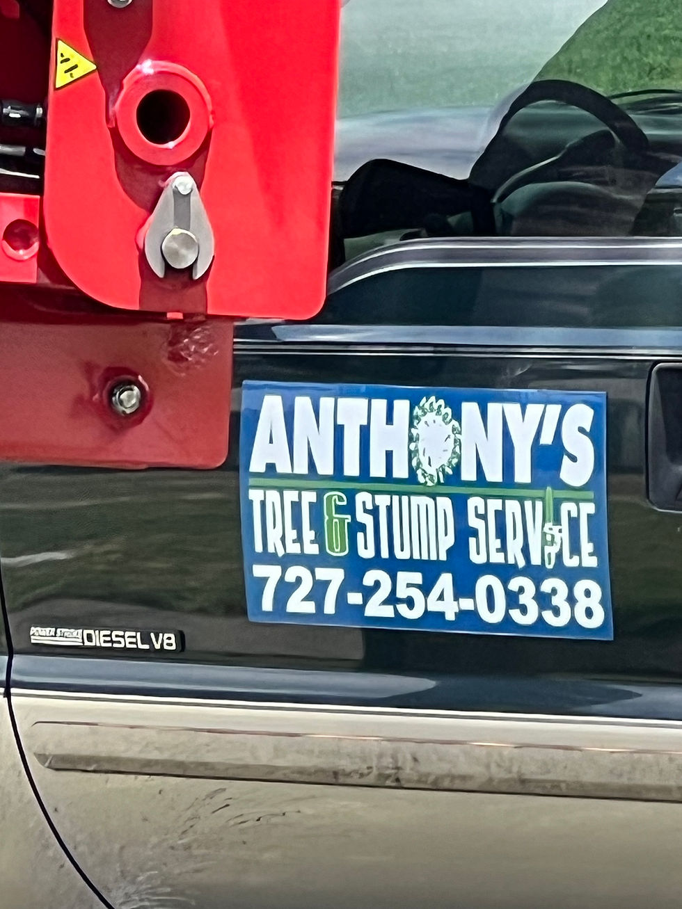 Anthonys Tree and Stump Service