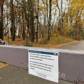 It's Mid-October: Where are the kids? 