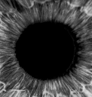 15-10-20-ojos_edited_edited.jpg