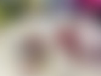 コキュ営業のお知らせ