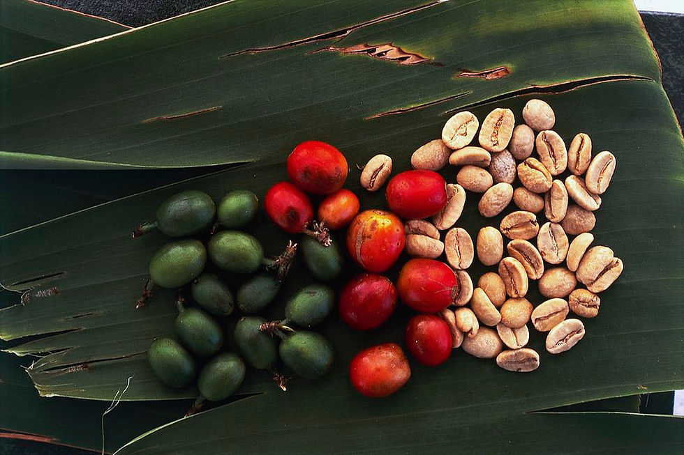 Coffee beans