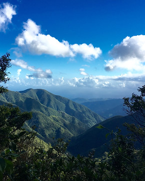 Blue Mountains.jpg