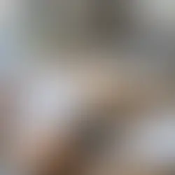 Small Business Financial Systems That Work