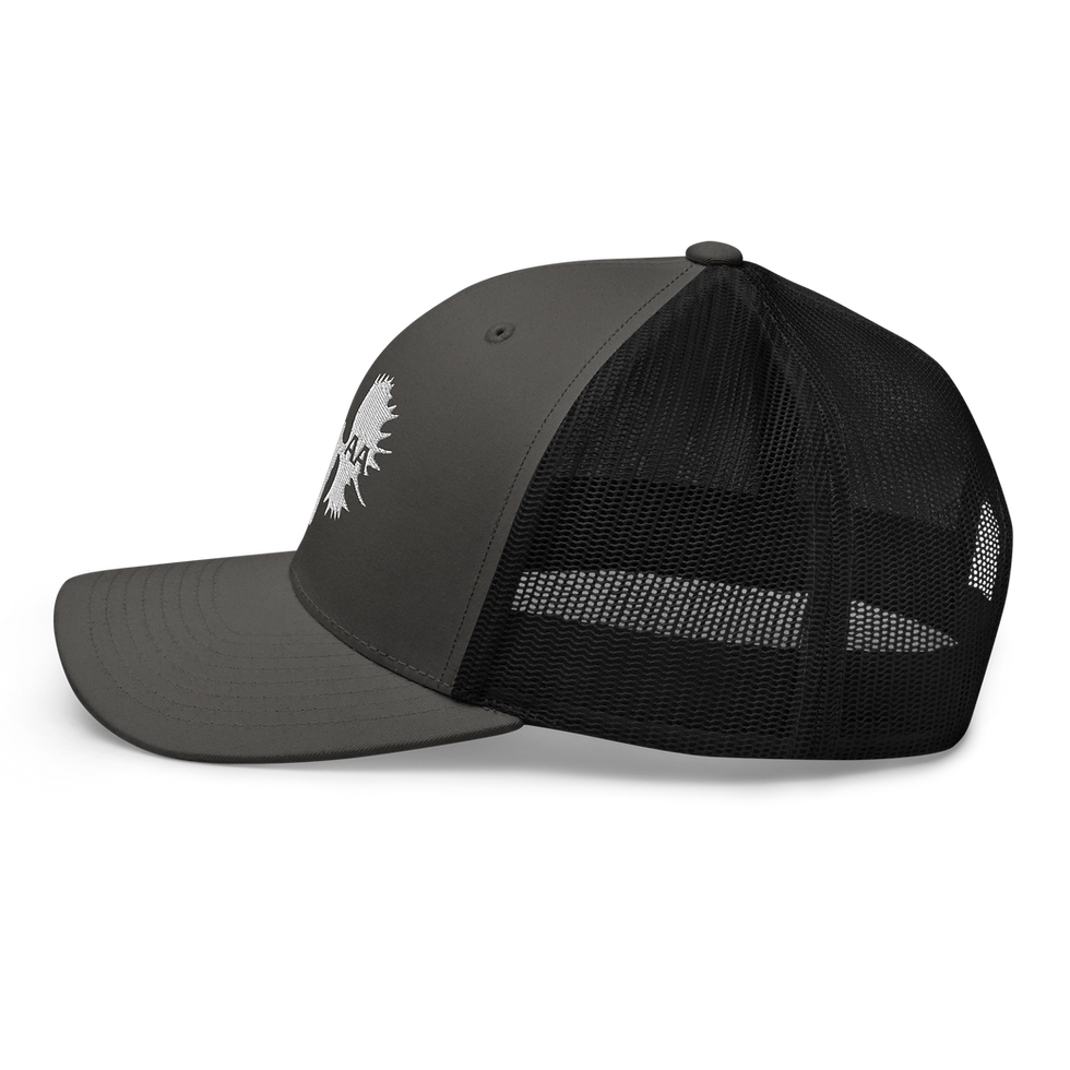 Thumbnail: Moose Antler Hat 2