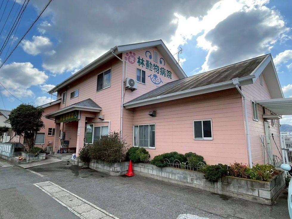 外壁屋根塗装工事