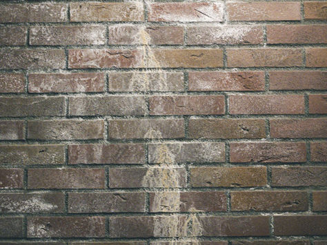 知って損しない塗装の雑学｜外壁が色あせる本当の理由とは？