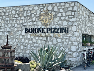 Highlights of Sirmione on our Lakes to Lagoon and Wine Italy Trip