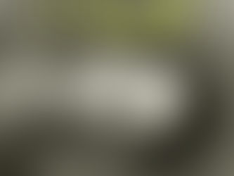 Finding God's Life For My Will