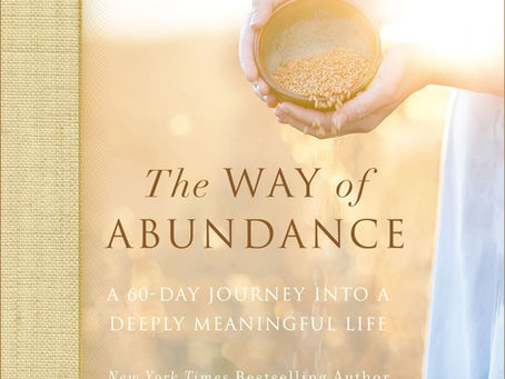 The Way Of Abundance