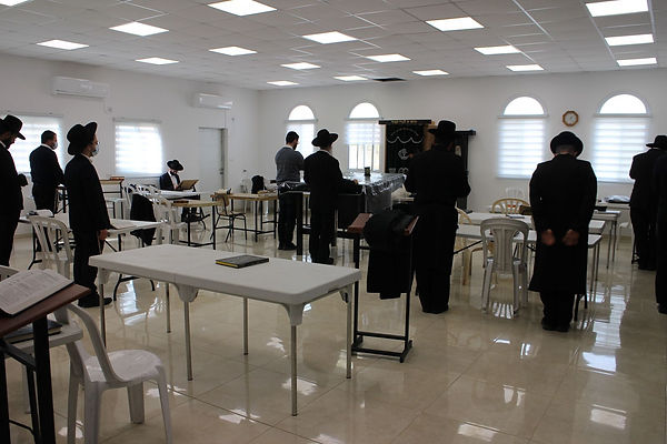maaleamos shul.jpeg