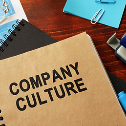 Organisational Culture