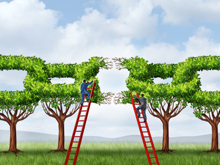 WHY HUMAN RESOURCES MUST EMBRACE SUSTAINABILITY.