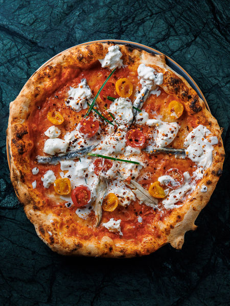 Köstliche Pizza mit Tomaten, Käse und Kräutern auf einem grünen Hintergrund.