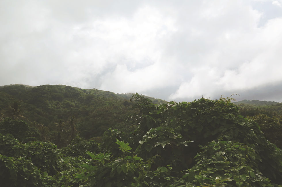 Tanna Island