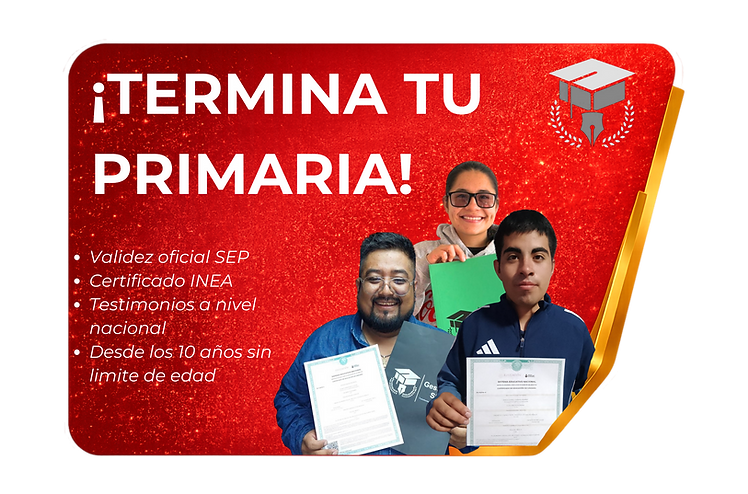 ¡TERMINA TU PRIMARIA! (Post de Twitter) (3) (1).png