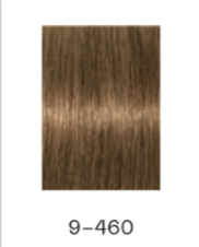 الصورة المصغرة: צבעים לשיער איגורה אבסולוט קבוצה1 absolut