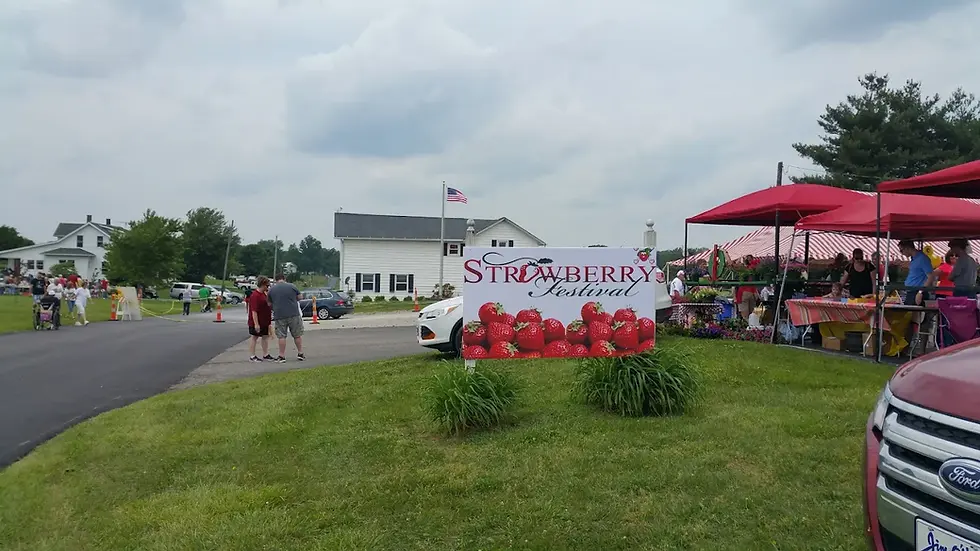 Star Valley Strawberry Festival Vendor Application period now open