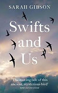 swifts and us.jpg
