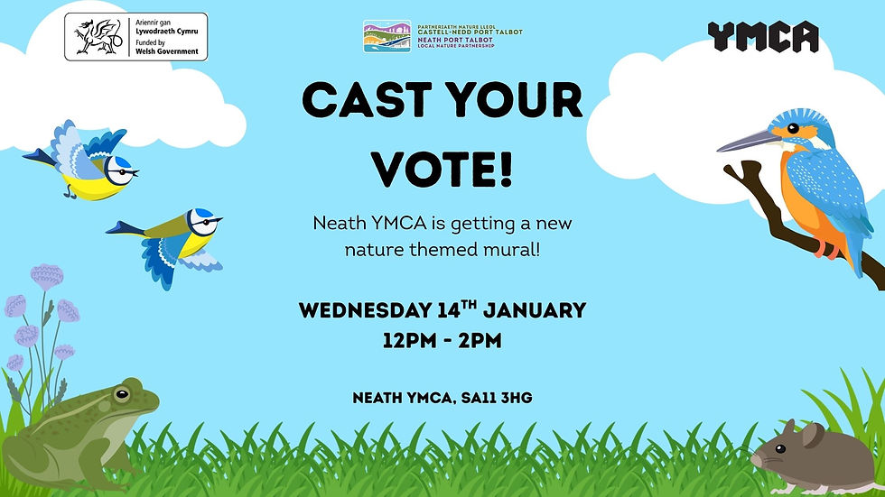 Nature in Neath - Help us design Neath YMCA’s new nature mural!