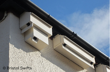 custom swift boxes.png