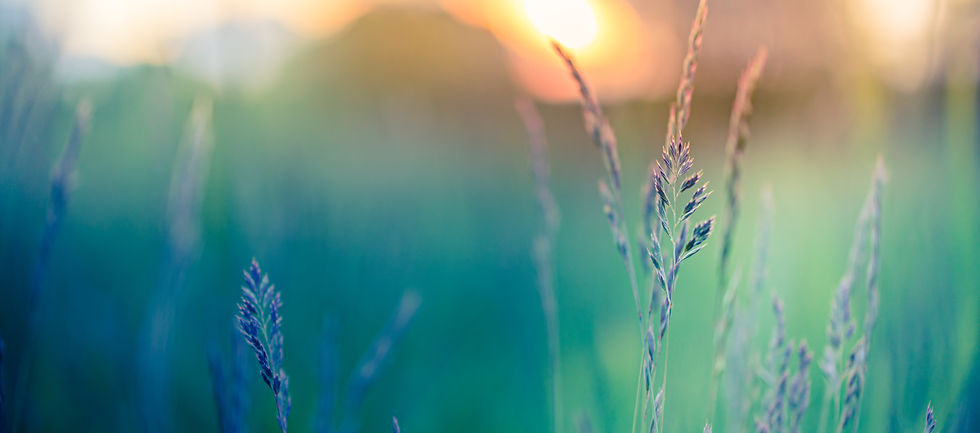 AdobeStock_436729956.jpeg