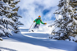 AdobeStock_226238086