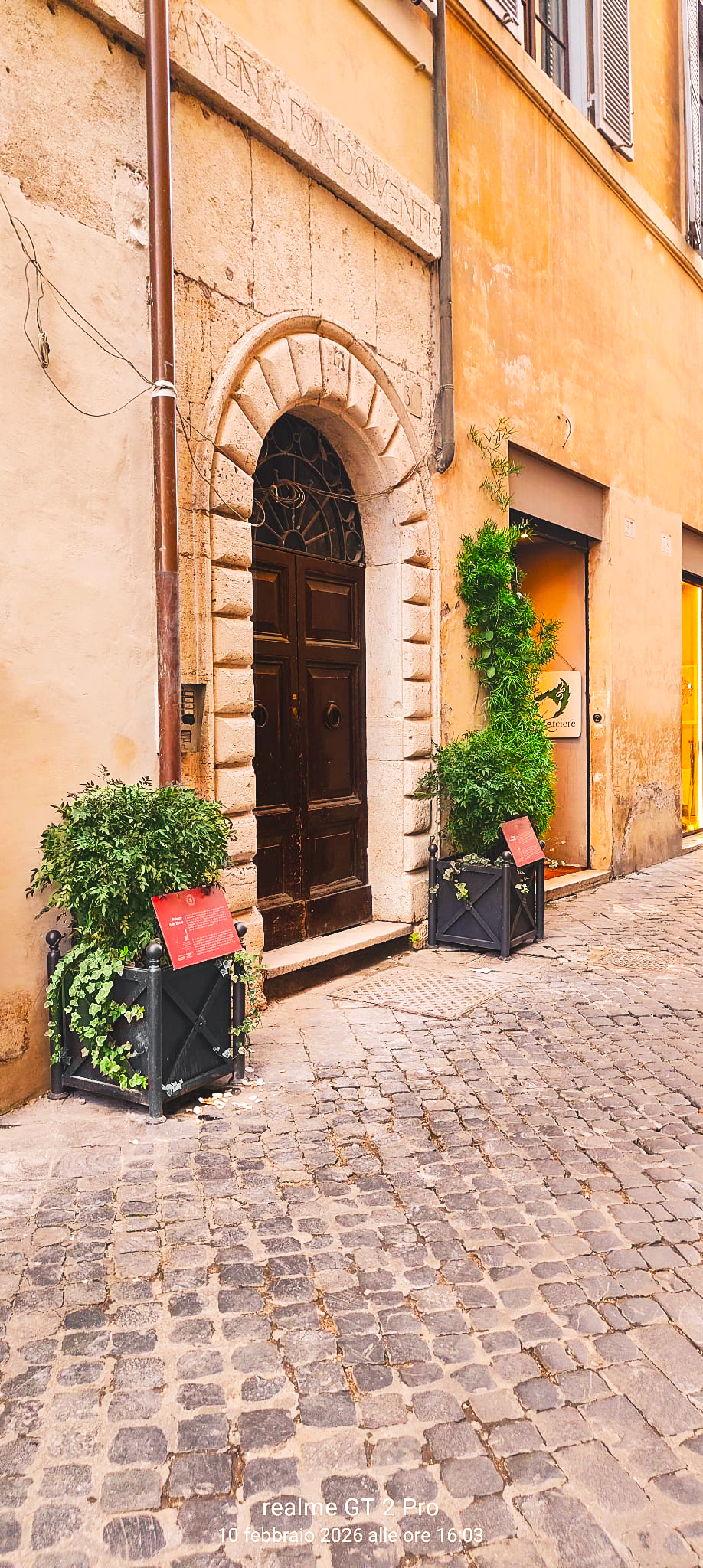 Ingresso Navona Sito