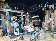 IMG_1129.JPEG