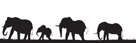 download (1).png