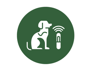 microchipping dog icon