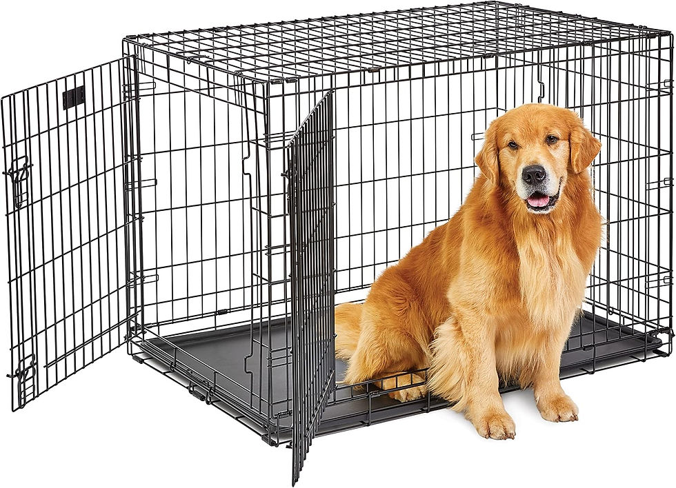 golden retriever in dog crate