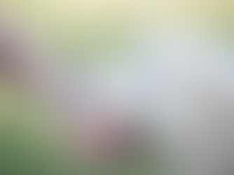 teething puppy biting on hand