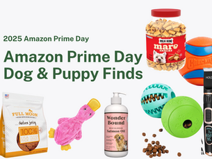 amazon prime day dog deals 