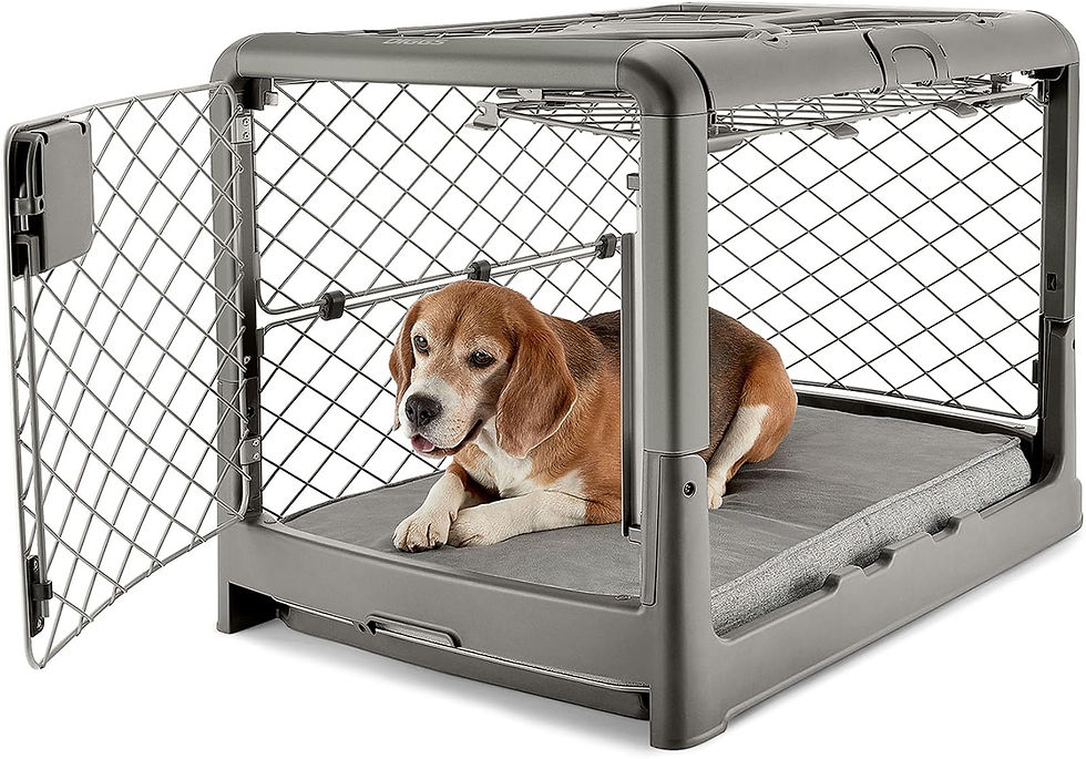 Diggs Revol Dog Crate