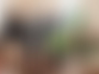 新年あけましておめでとうございます